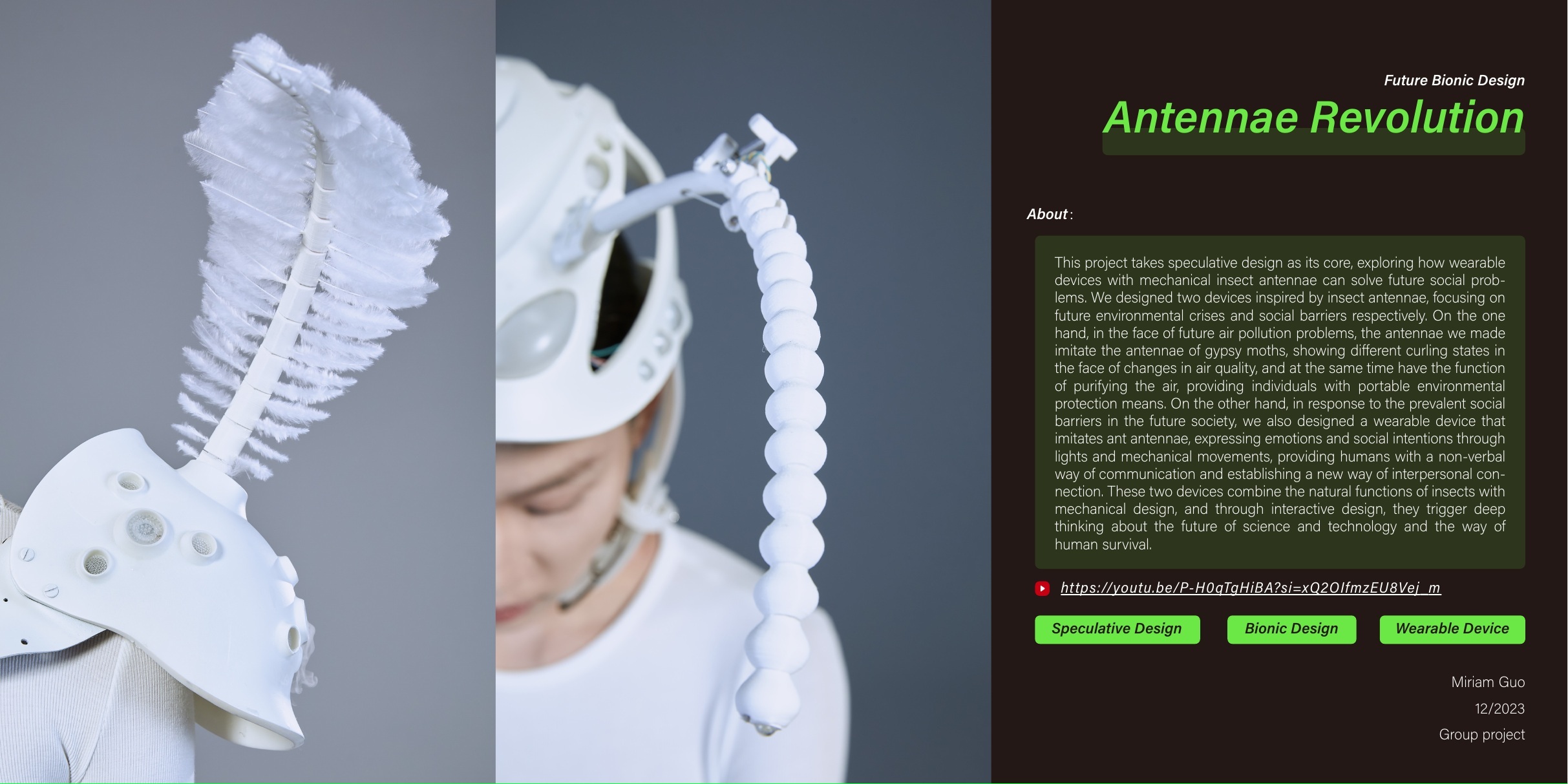 Antennae Revolution cover, upper half