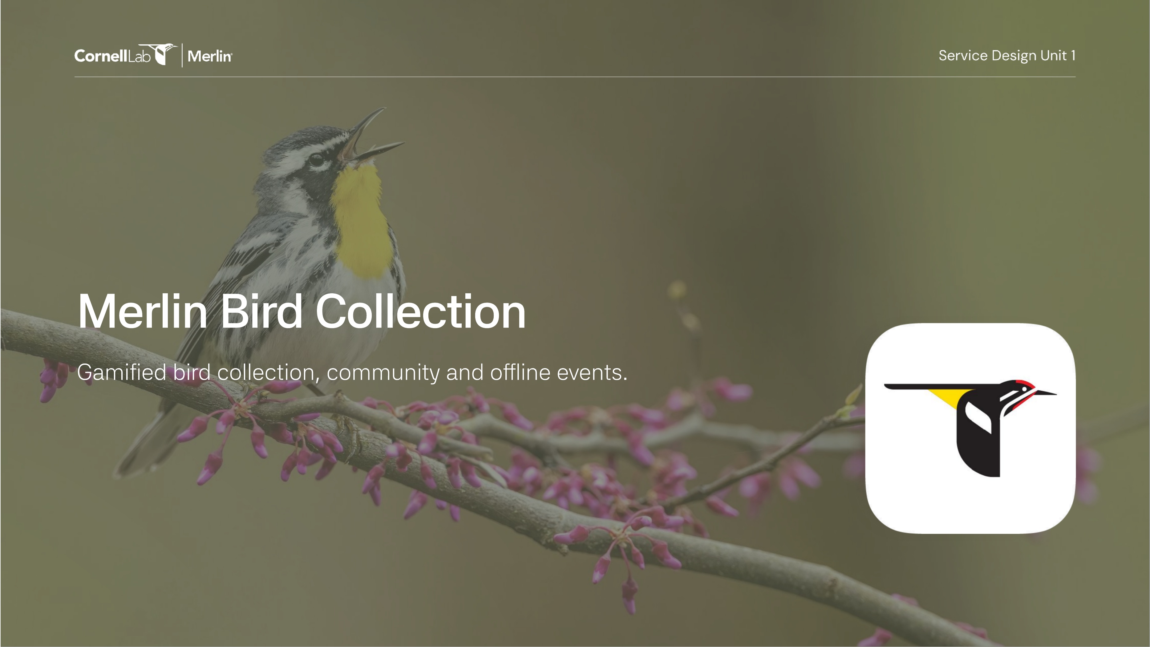 Merlin Bird Collection cover